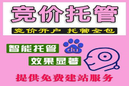 竞价推广与SEM托管结合的营销策略——某电商平台的实践